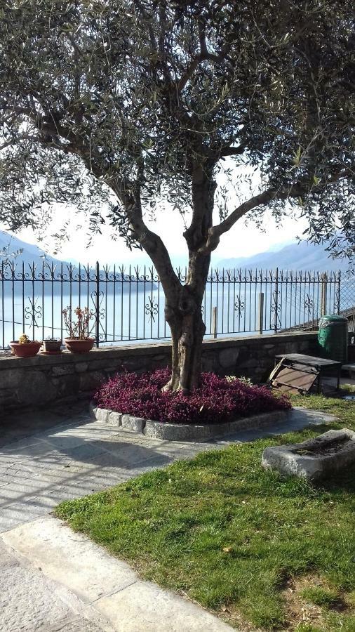 Appartamento Casa Matilde